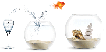 40074748 Poissons